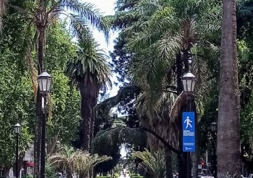 Oroño y  Brown - Financia/permuta parcial